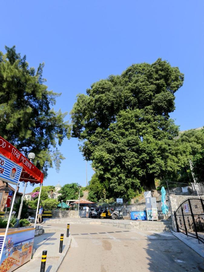Ferienwohnung Smjestaj Djurdjevic Herceg Novi Exterior foto